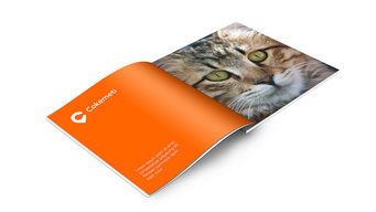 酷客美地企业形象设计 塑造品牌灵魂，引领市场潮流